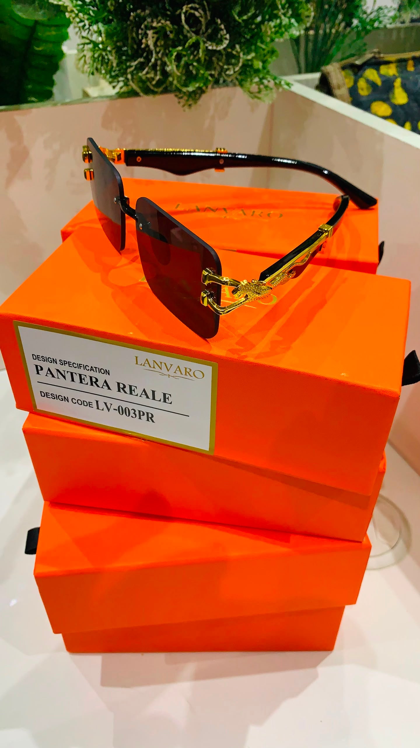 Pantera Reale – Premium Gold Frame Sunglasses 9